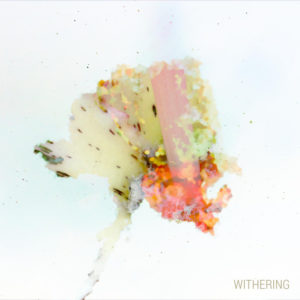 Withering - Jacoo