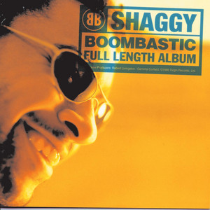 Featured image for “Boombastic – Shaggy”